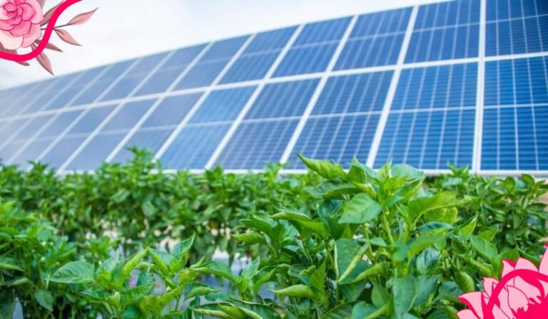 Solar Panels Teas Passage