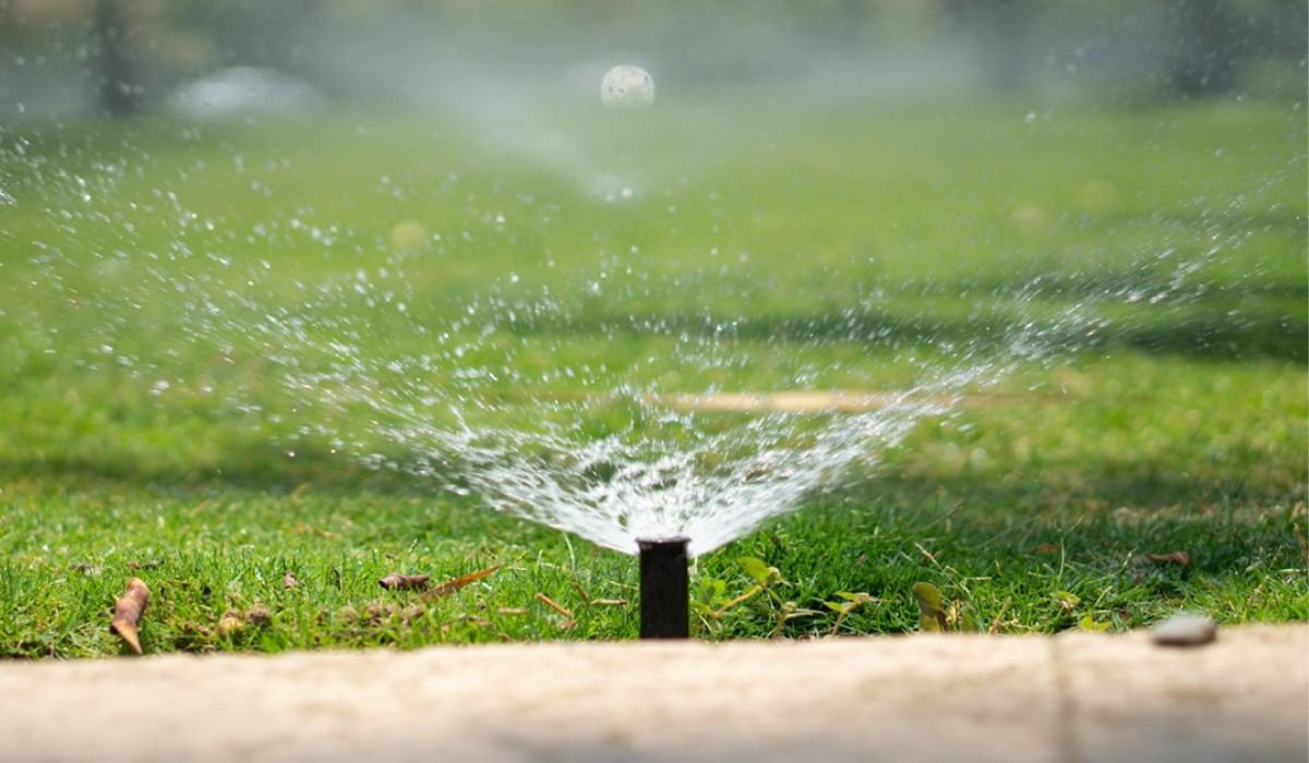 What Happens Beneath Your Lawn When Temperatures Begin to Rise 1 What Happens Beneath Your Lawn When Temperatures Begin to Rise