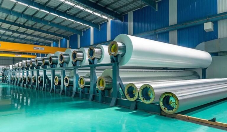 Dry Food Packaging Evolution: Embracing Metallized CPP Film for Better Protection and Market Performance