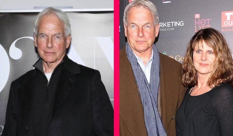Mark Harmon: A Complete Look at the Life of the NCIS Star mark harmon