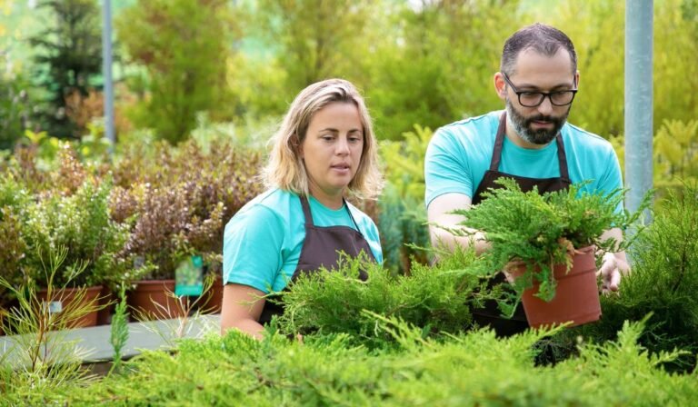 Why Hiring a Local Lawn Mowing Company in Tauranga Beats National Services