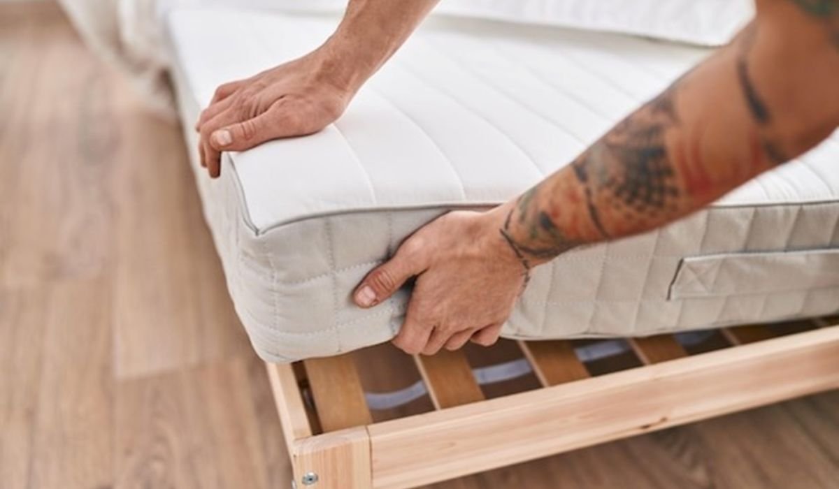 Step-by-Step Guide To Bed Bug Prevention At Home 2 Step-by-Step Guide To Bed Bug Prevention At Home