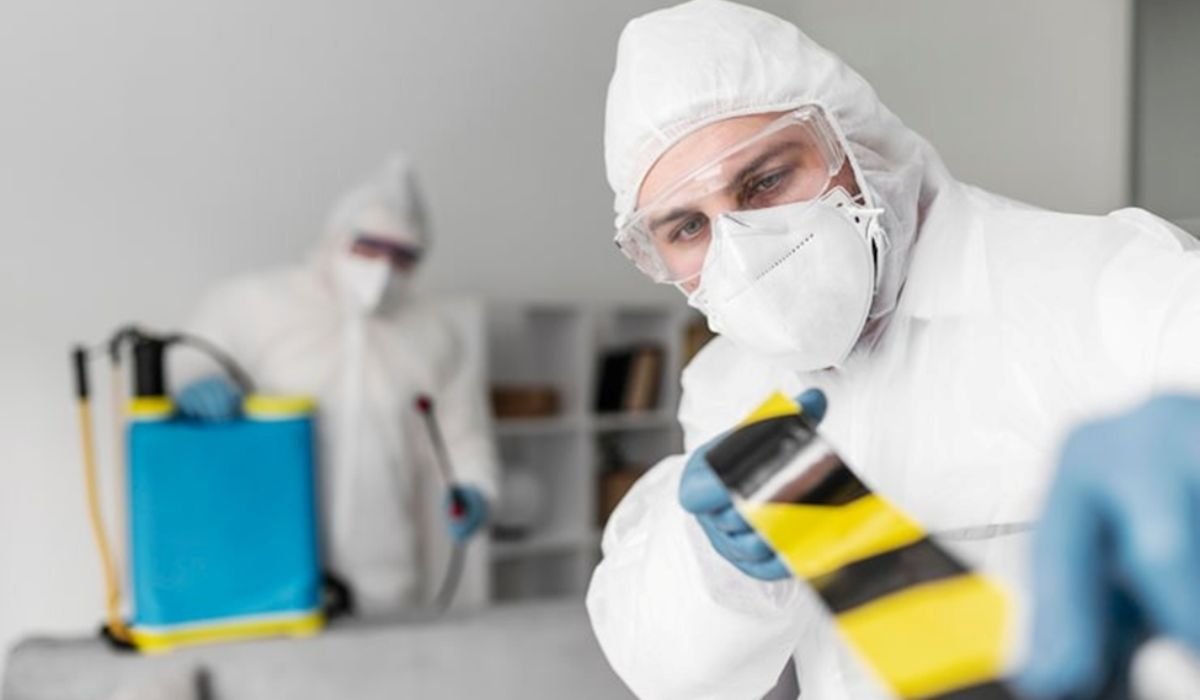 Step-by-Step Guide To Bed Bug Prevention At Home 3 Step-by-Step Guide To Bed Bug Prevention At Home