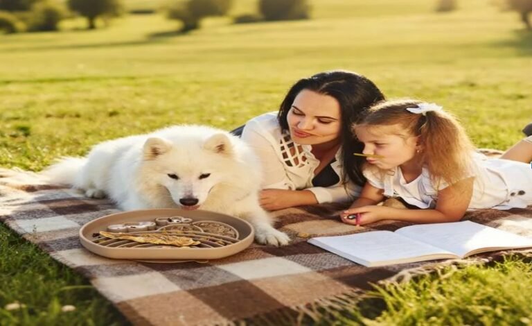 Custom Pet Products: Enhancing Your Pet’s Life with Personalized Care