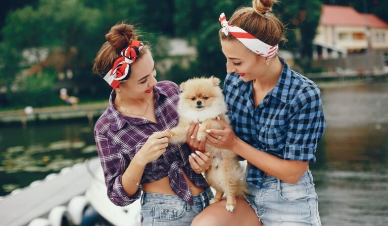 Exploring the Most Popular Small Dog Breeds