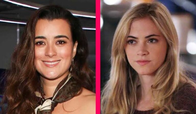 NCIS Cast: Meet the Stars Behind the Hit Crime Series ncis cast