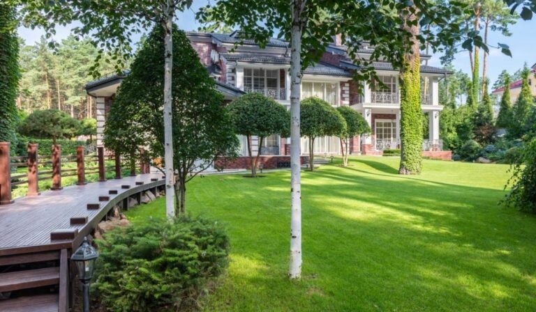 How to Maintain the Yard of Your Dreams