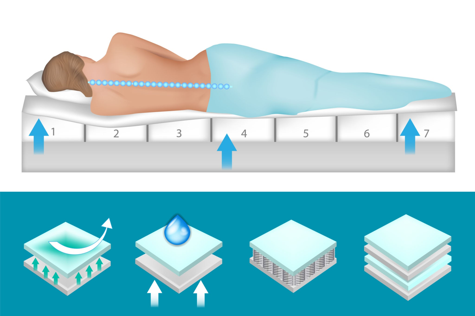 The Ergonomics of Mid-Scale Spatial Design: Engineering Queen-Size Sleep Systems for Dual-Occupancy Efficiency and Advanced Musculoskeletal Recovery 1 The Ergonomics of Mid-Scale Spatial Design: Engineering Queen-Size Sleep Systems for Dual-Occupancy Efficiency and Advanced Musculoskeletal Recovery